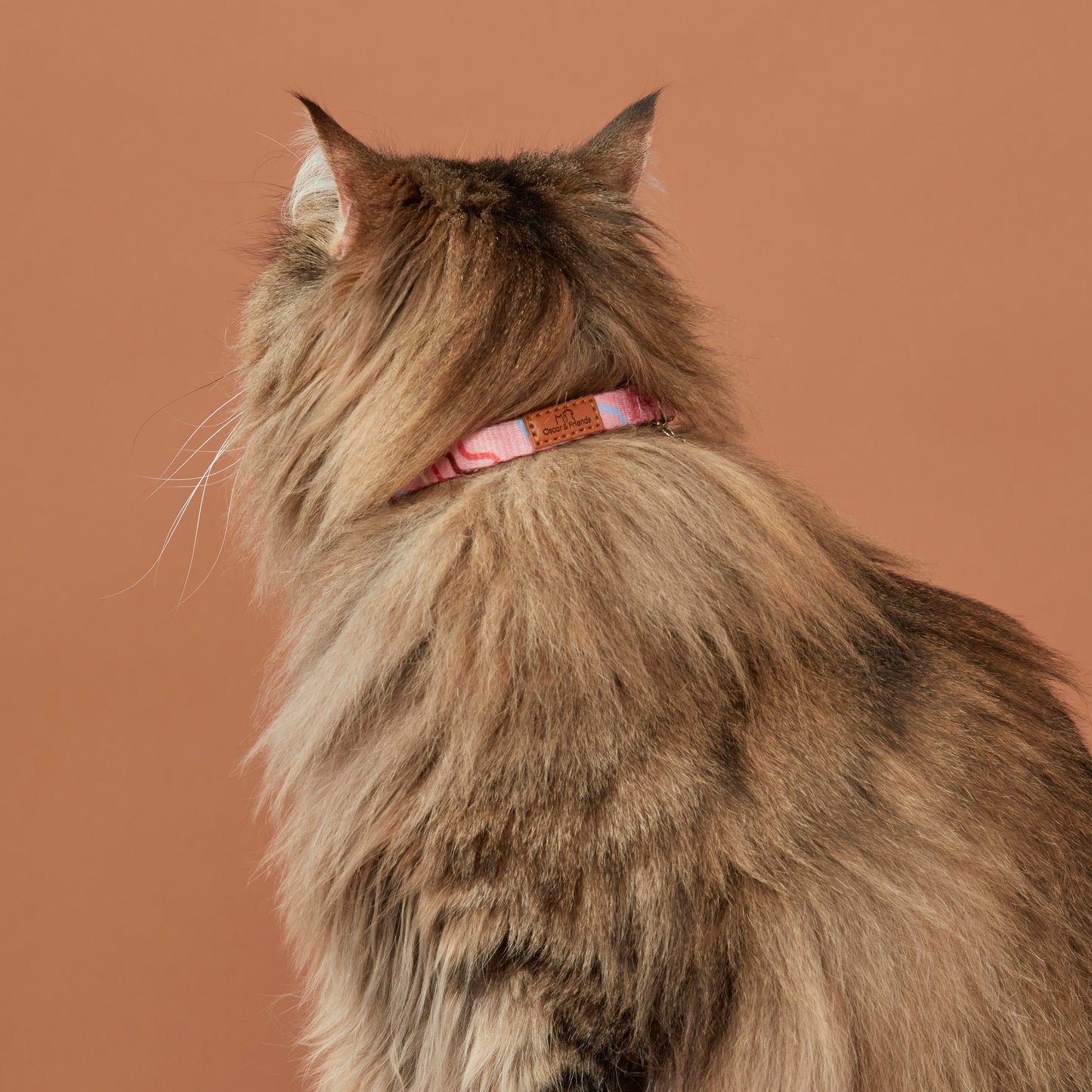 Cat Collar