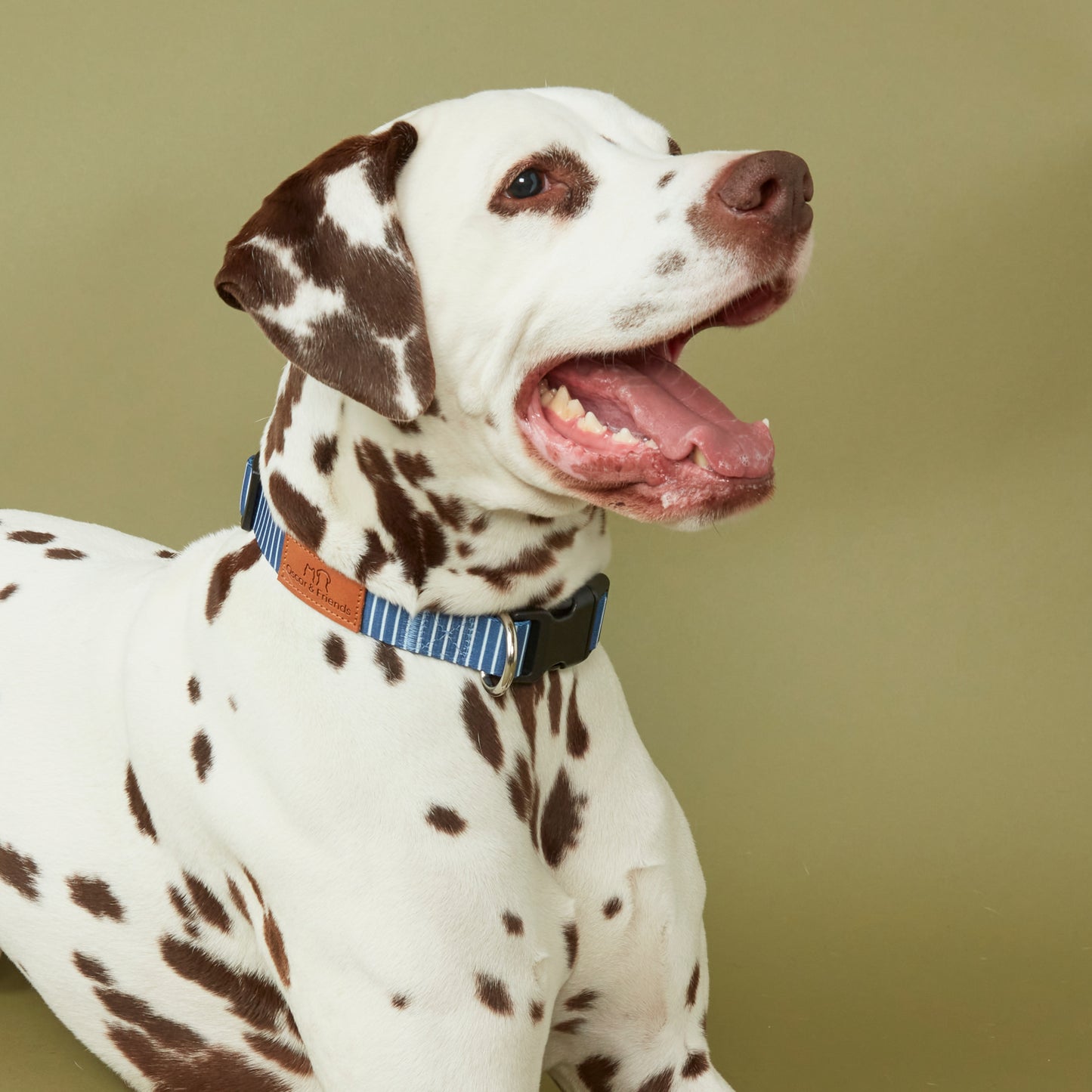 Dog Collar Printed