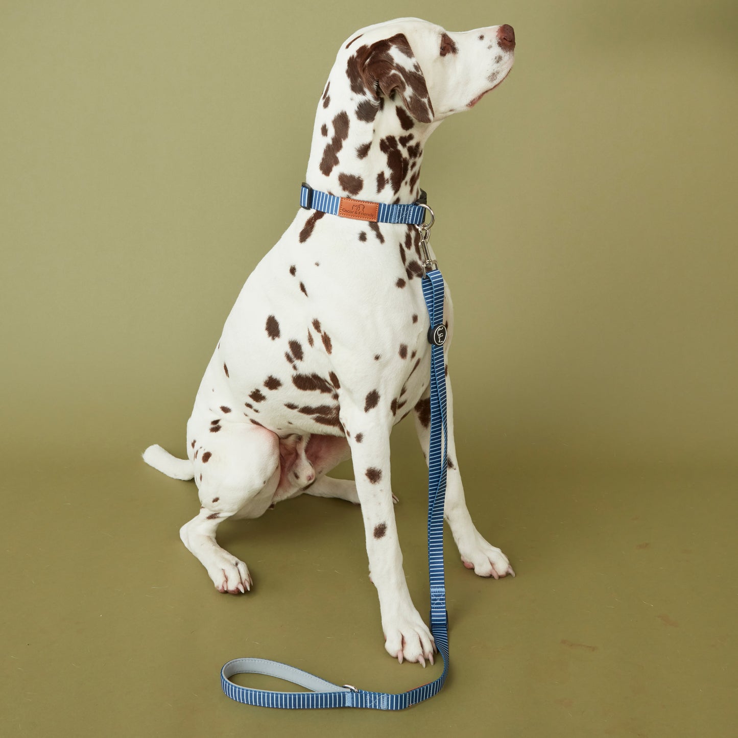 Dog Lead Printed Blue Stripe