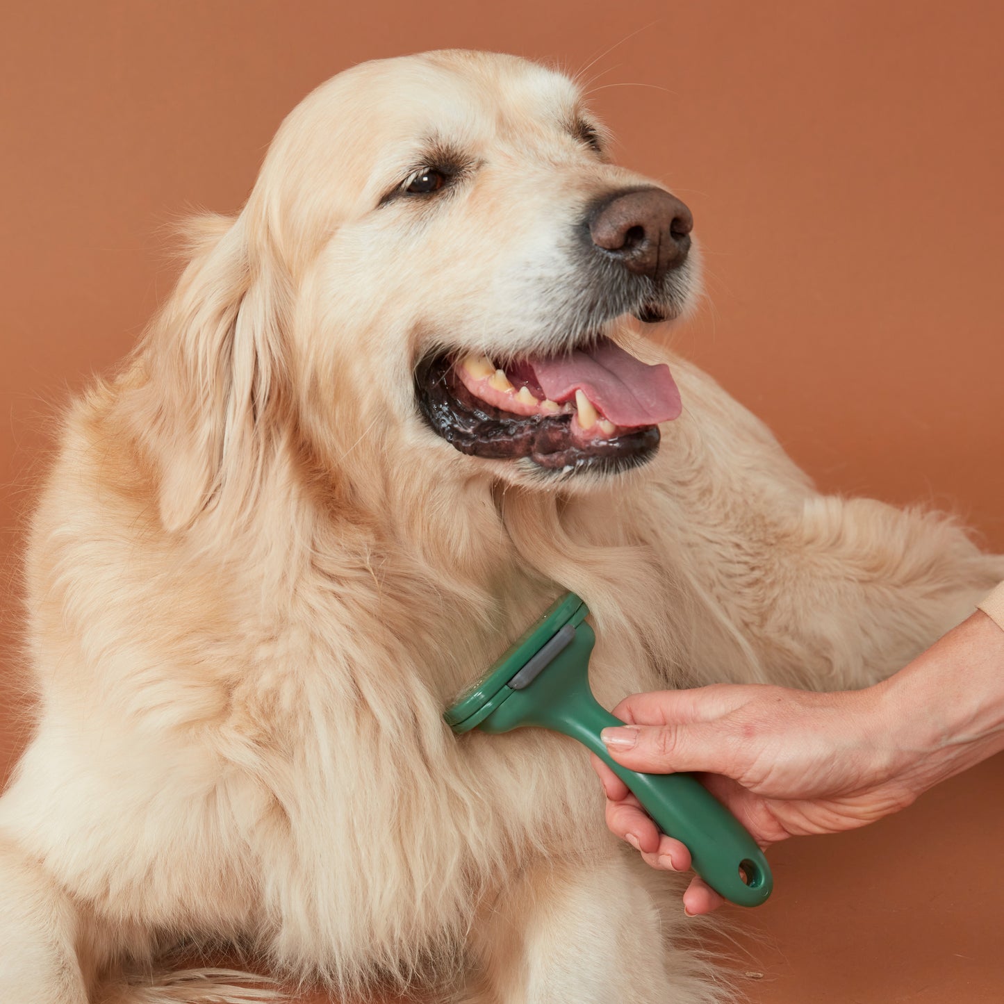 Dog Self Cleaning De-shedder Brush