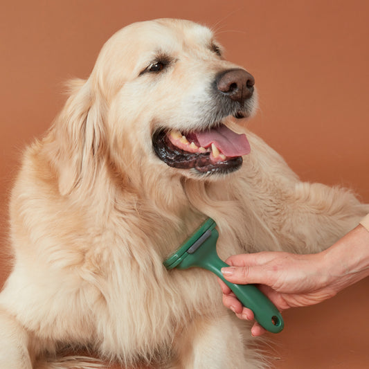 Pet Self Cleaning De-shedder Brush Forest Green