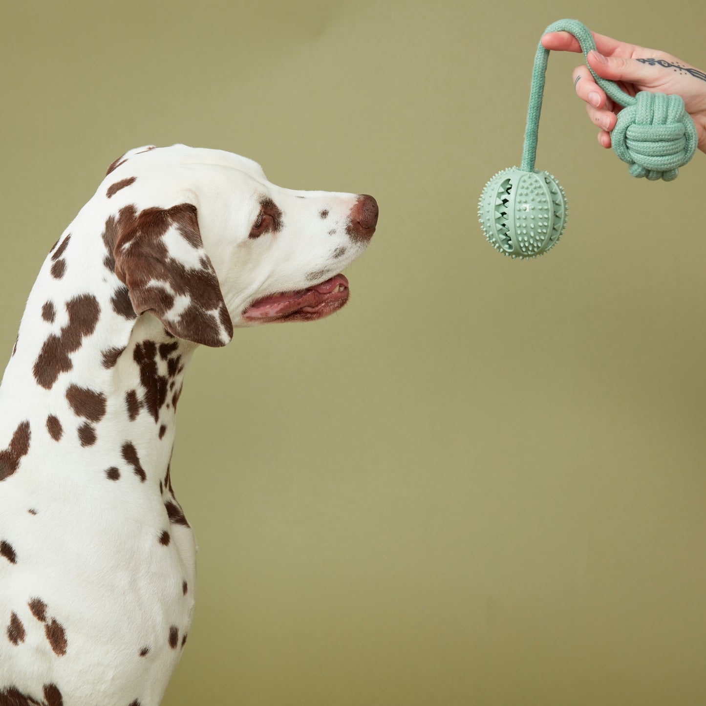 Rope Toy Treat Ball