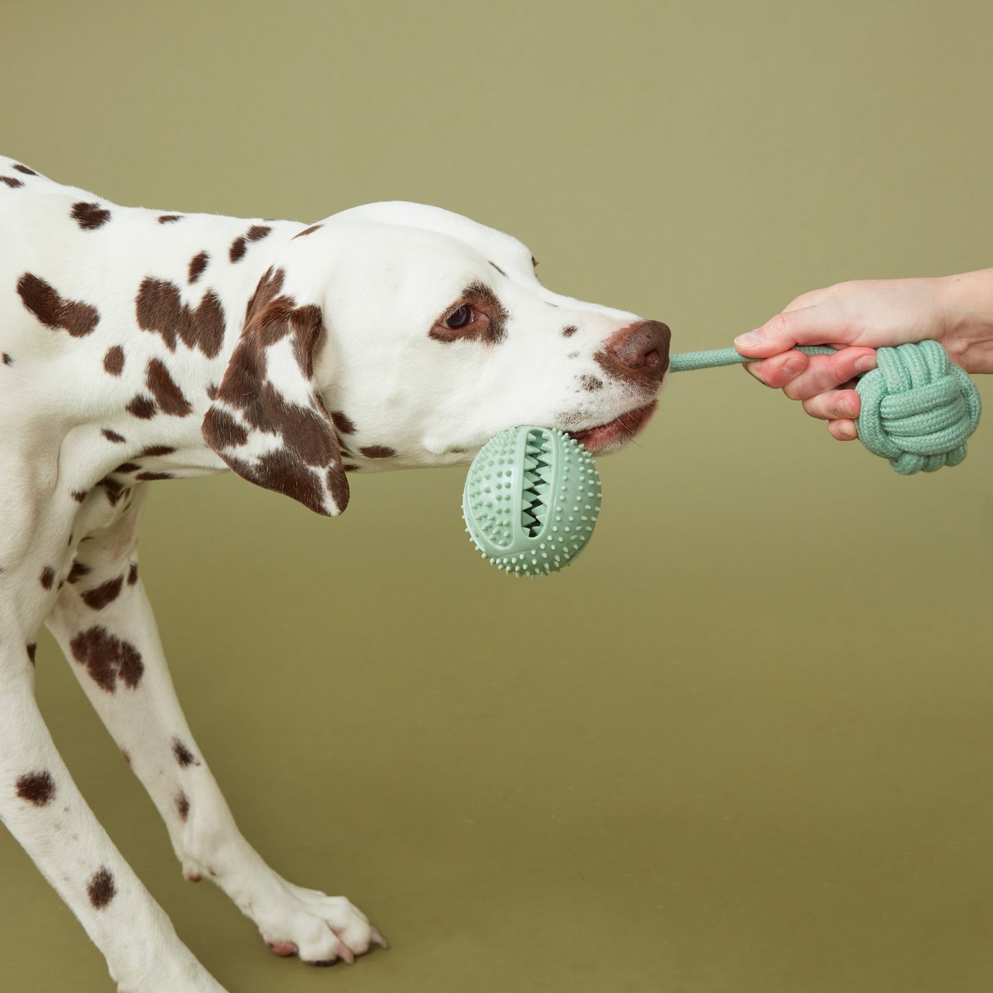 Rope Toy Treat Ball