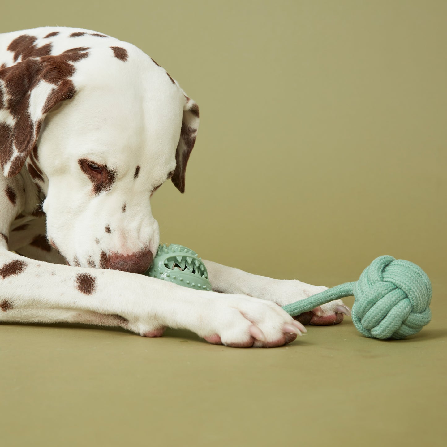 Rope Toy Treat Ball