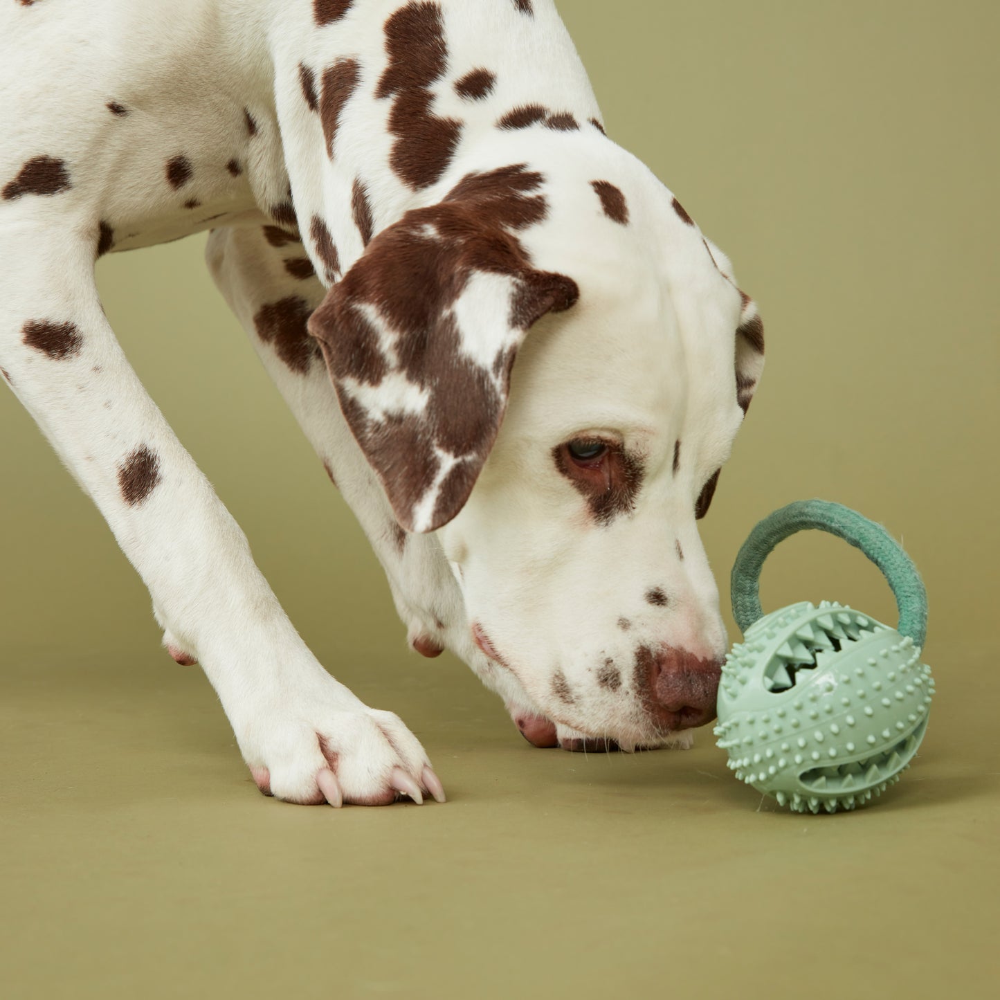 Rope Toy Treat Ball