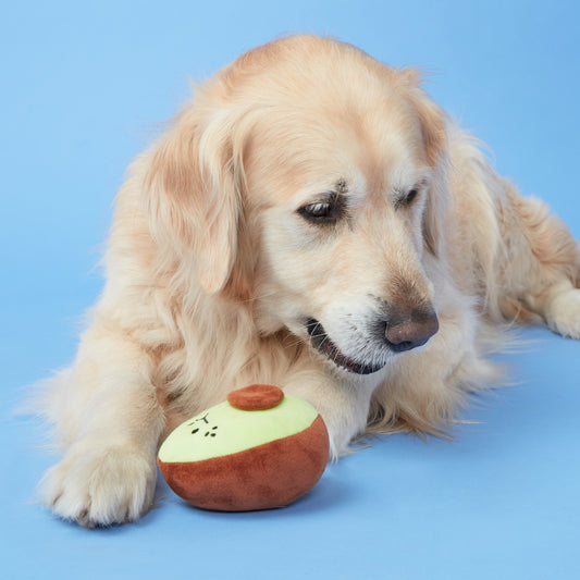 Squeaky Plush Avocado