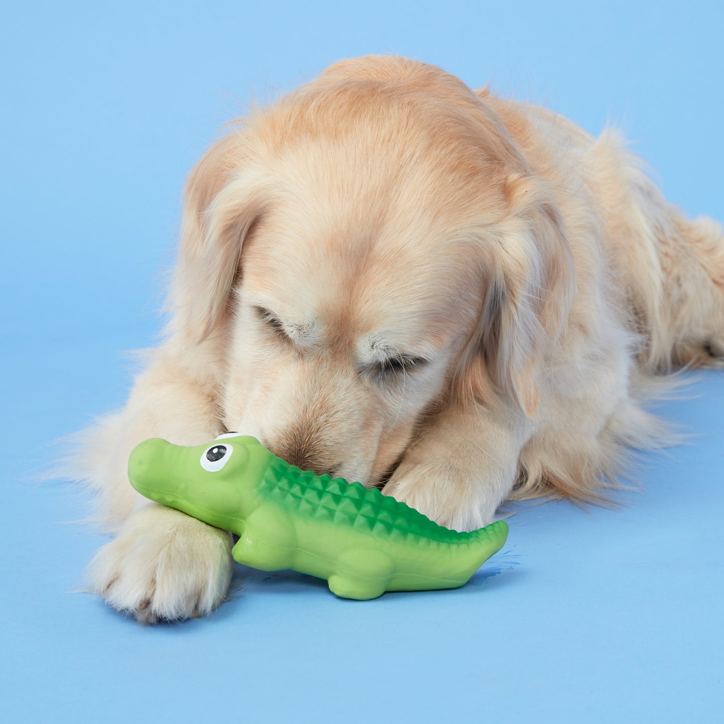 Squeaky Crocodile