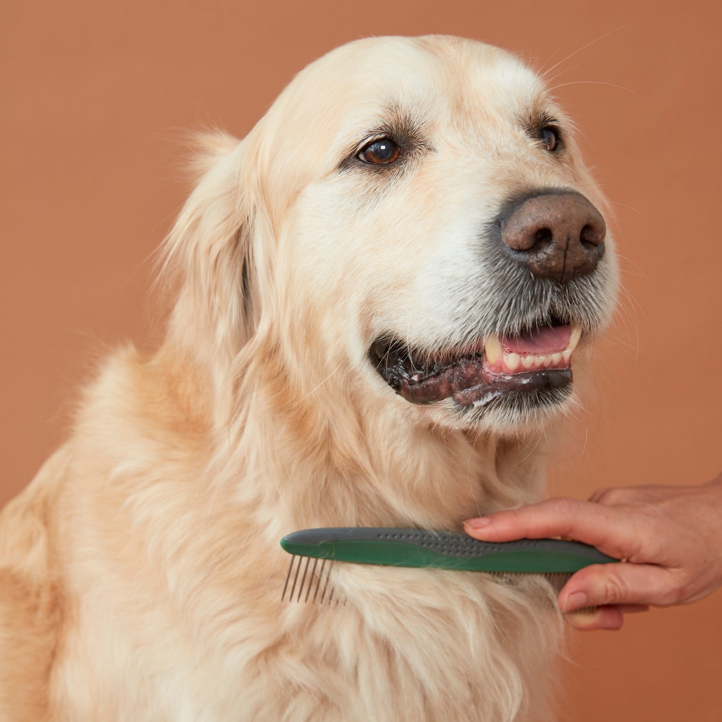 Wide Tooth Pet Comb