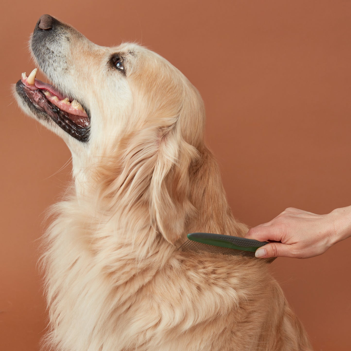 Wide Tooth Pet Comb