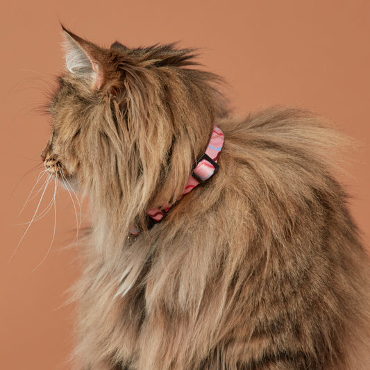 Cat Collar Swirl