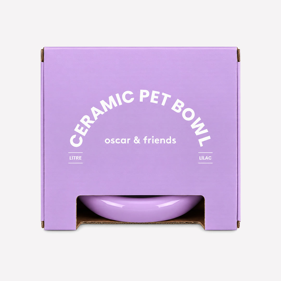 Ceramic Pet Bowl - Lilac