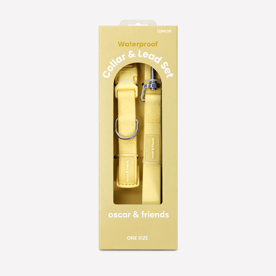 Waterproof Collar & Lead Set - Lemon