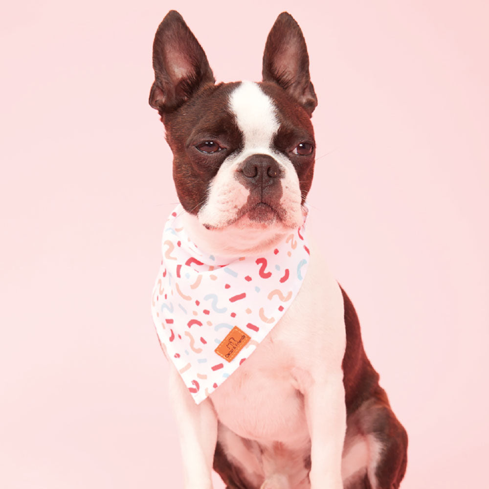 Dog bandana confetti