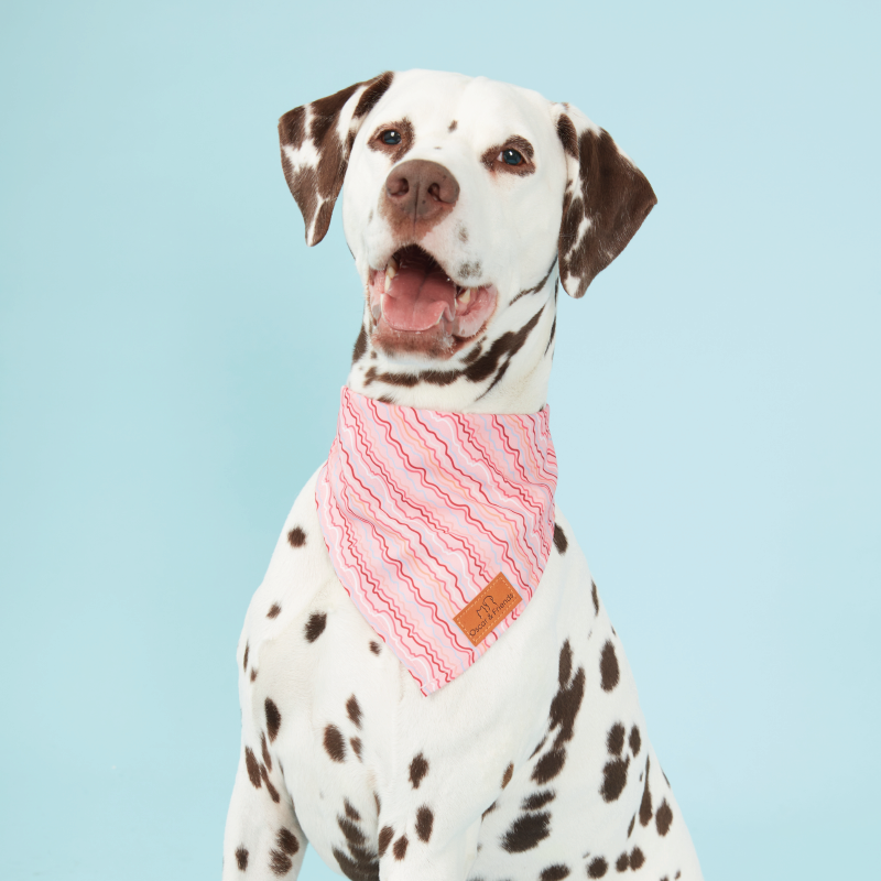 Dog Bandana Swirl