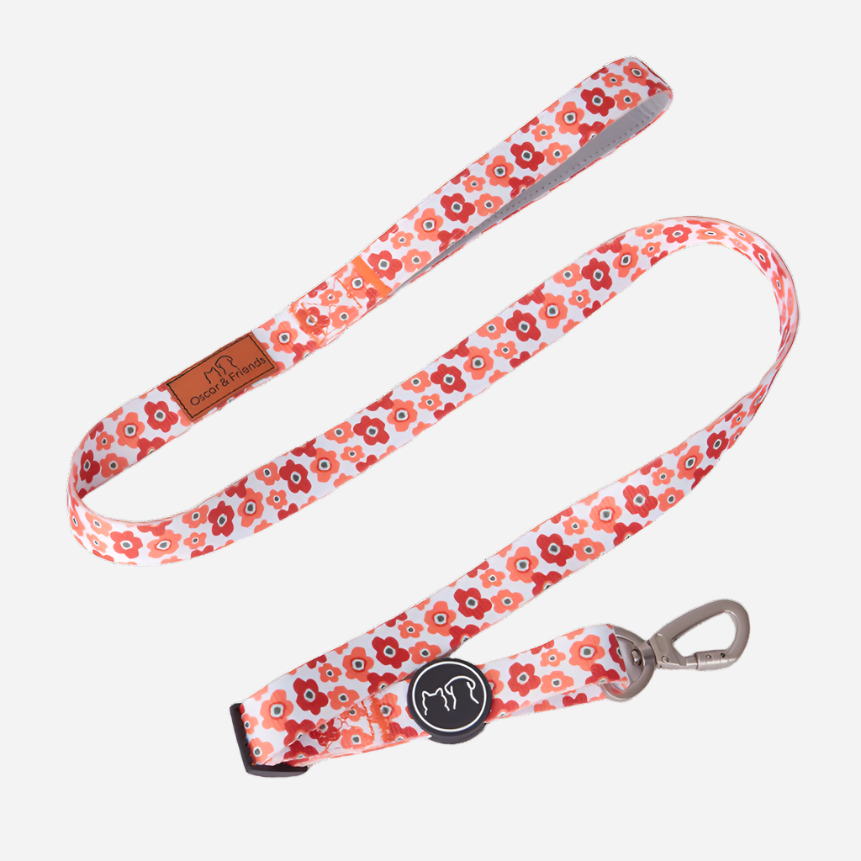 Dog Collar & Lead Set Blotched Floral