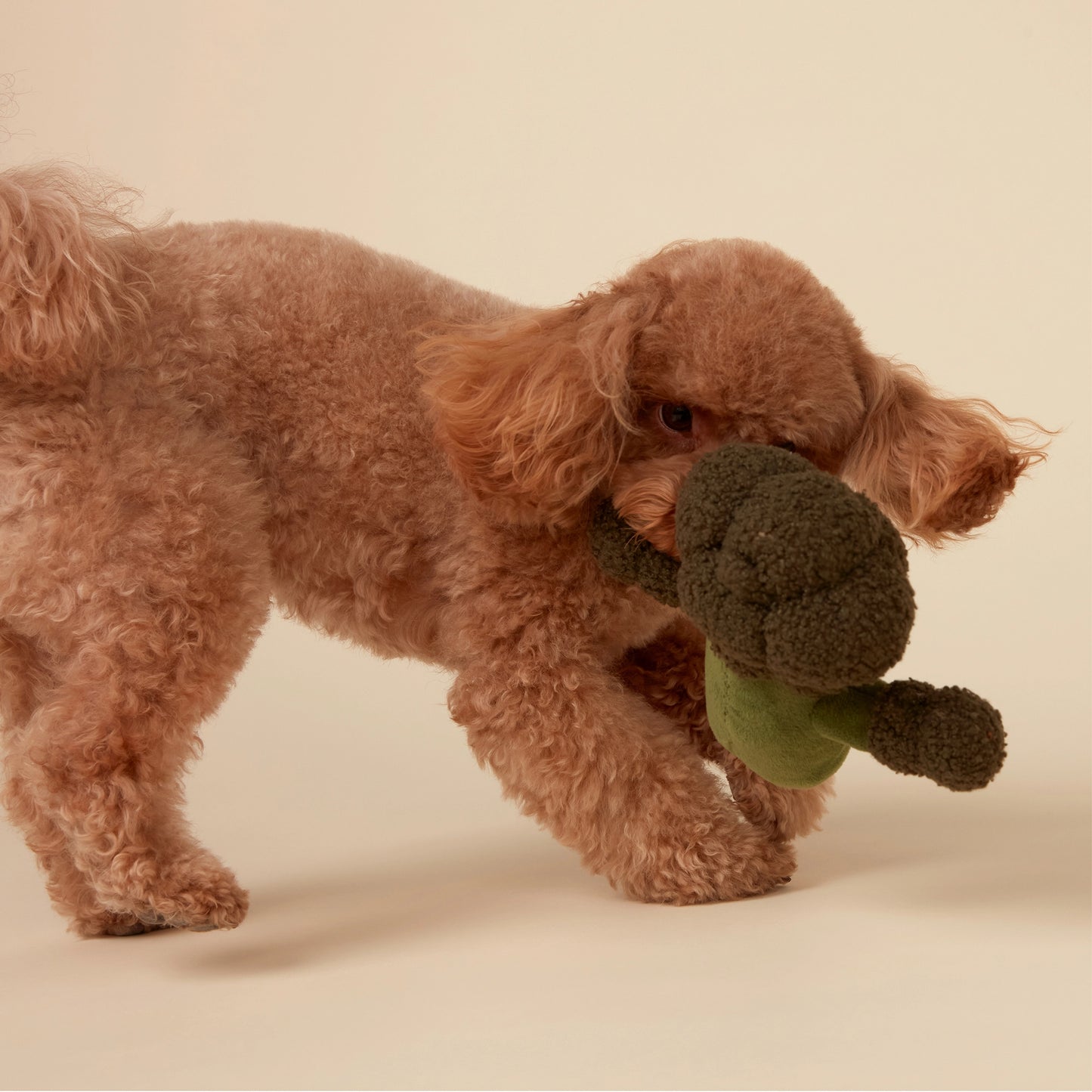 Squeaky Plush Broccoli