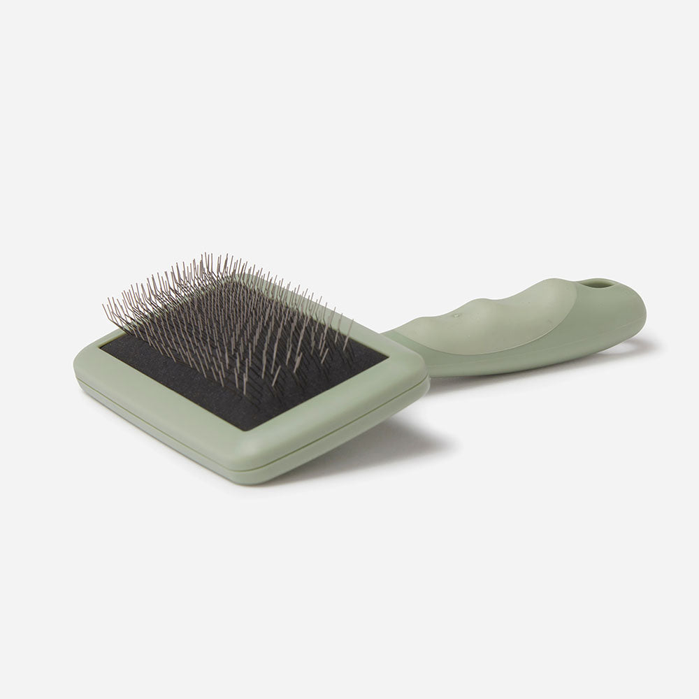 Pet Slicker Brush