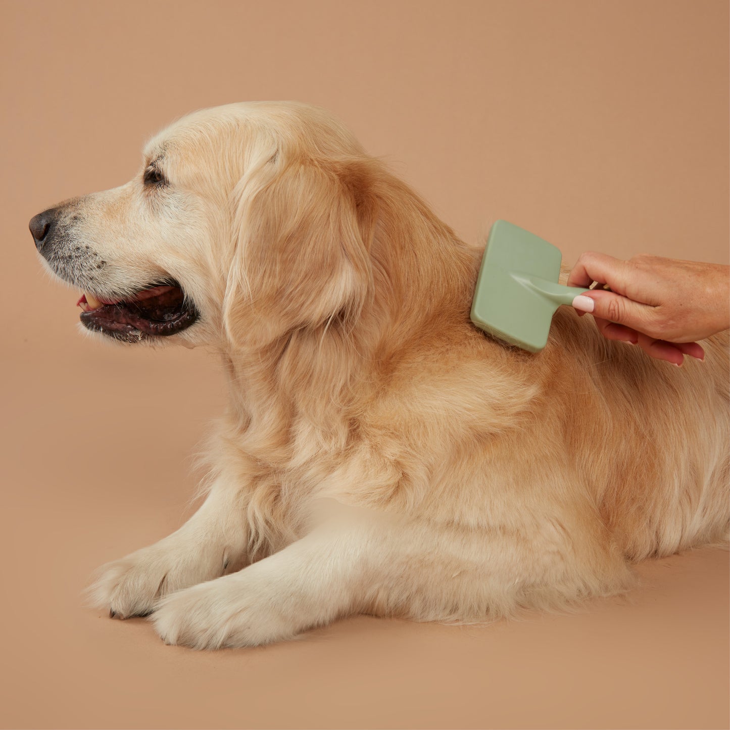 Pet Slicker Brush
