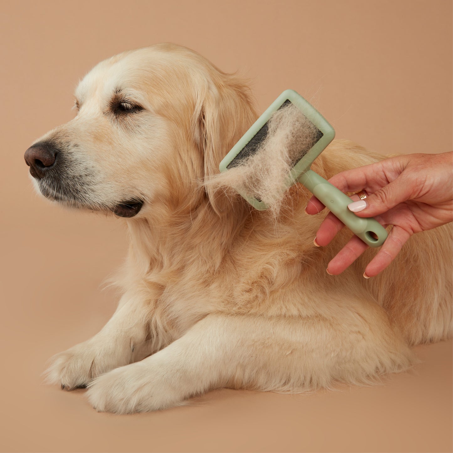 Pet Slicker Brush