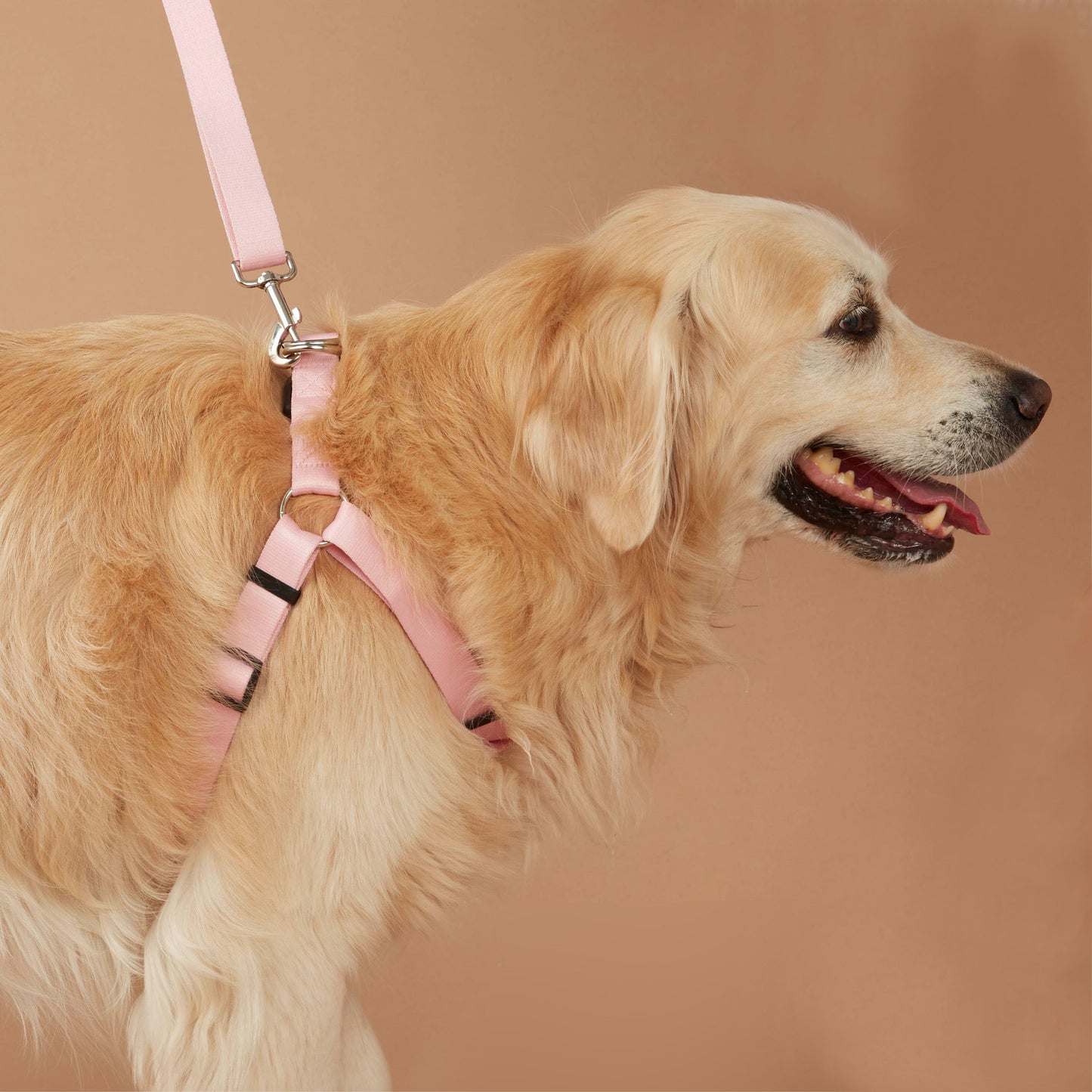Value Dog Step-In Harness Pink