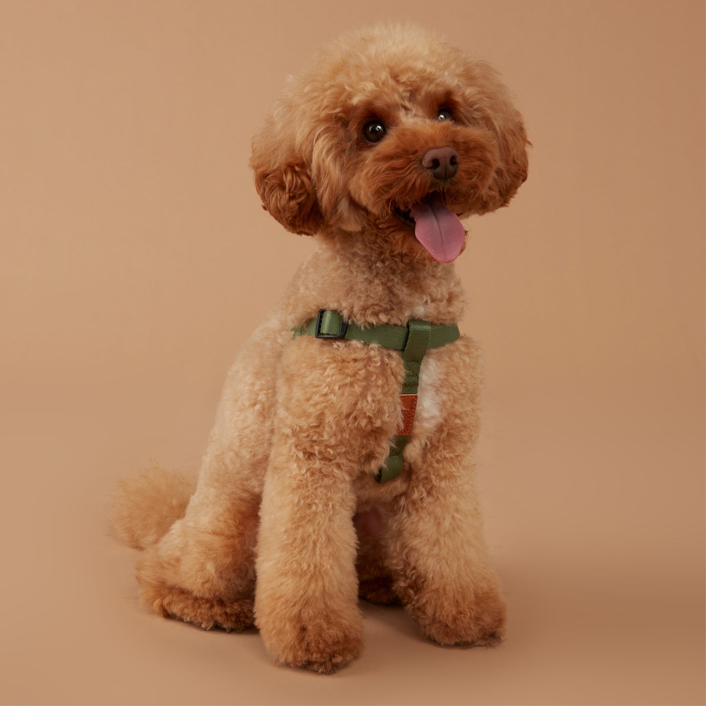 Value Dog Step-In Harness Khaki