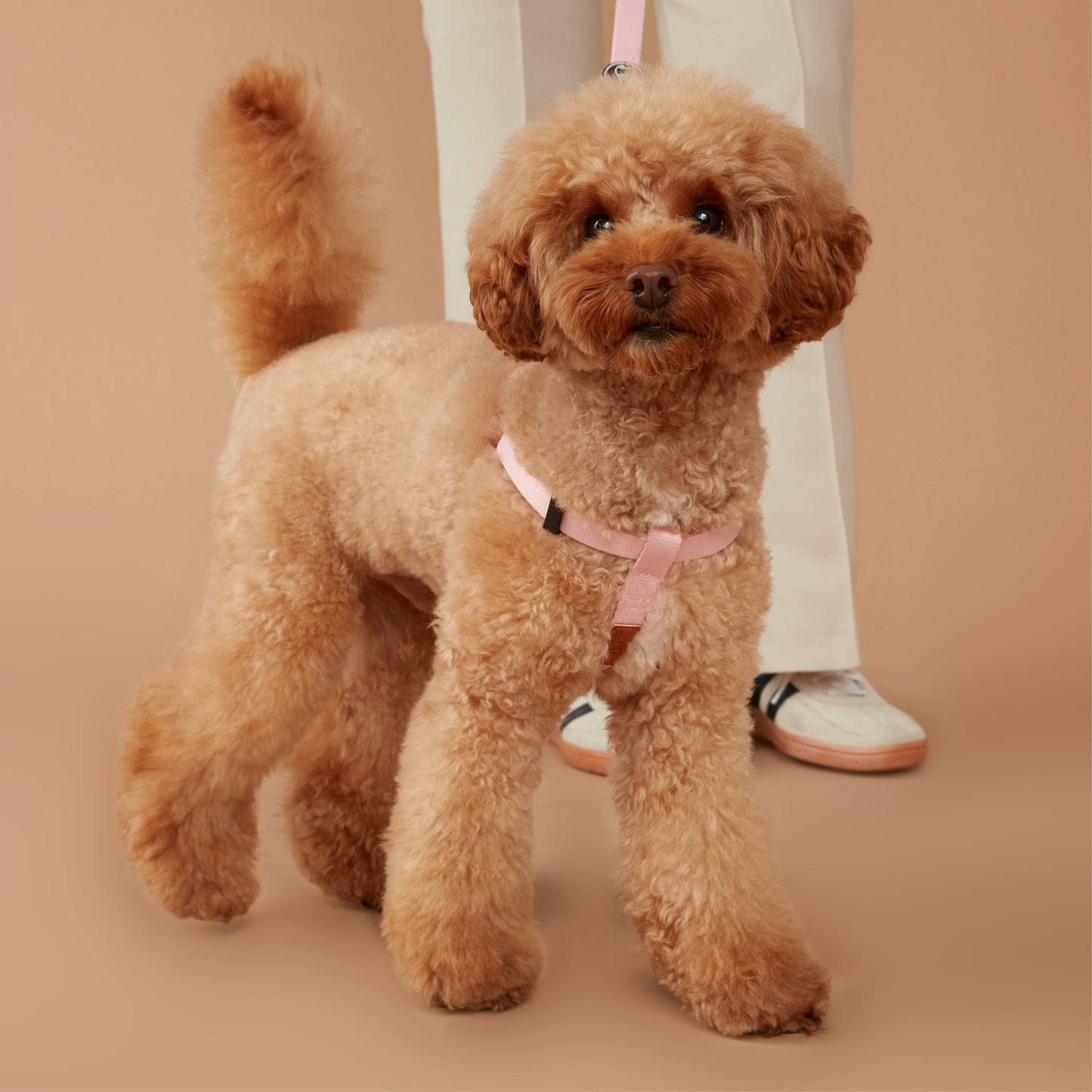Value Dog Step-In Harness Pink