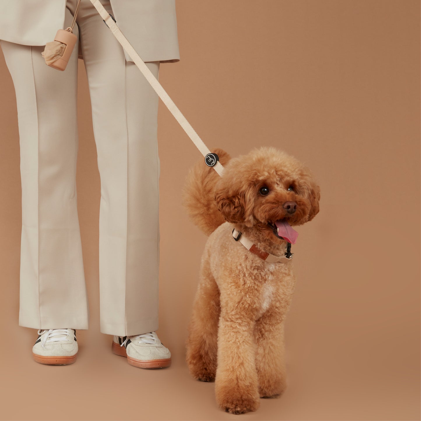 Dog Collar & Lead Set Beige