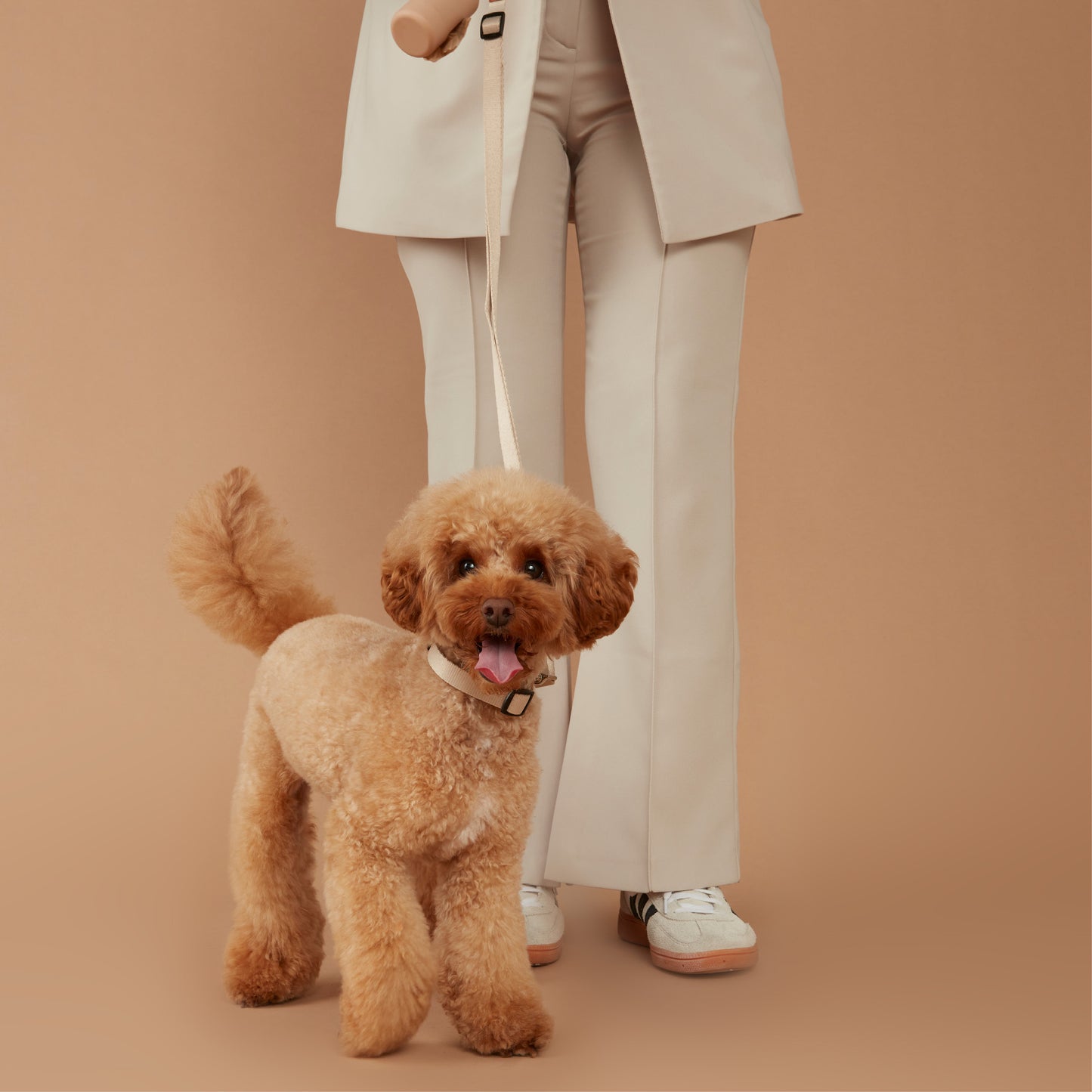 Dog Collar & Lead Set Beige