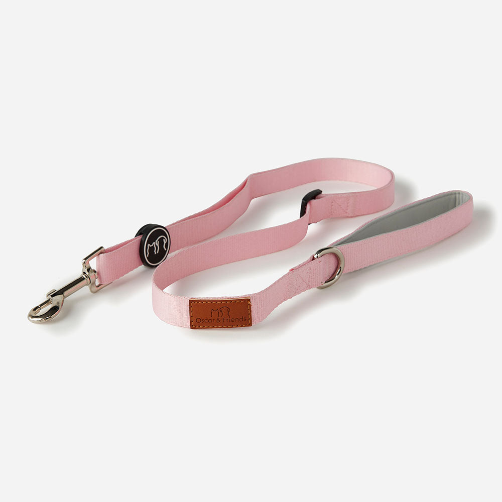 Dog Collar & Lead Set Pink