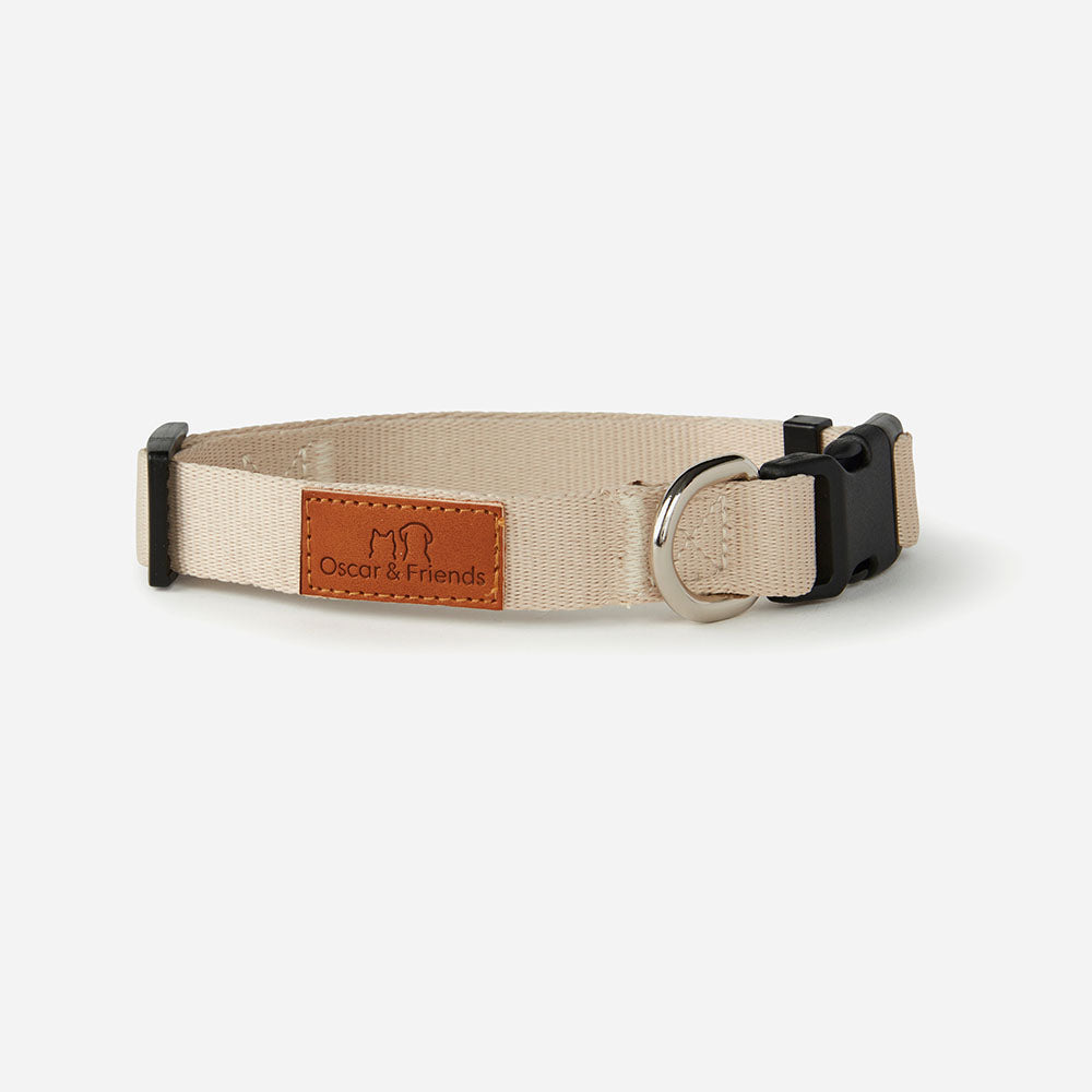 Dog Collar & Lead Set Beige