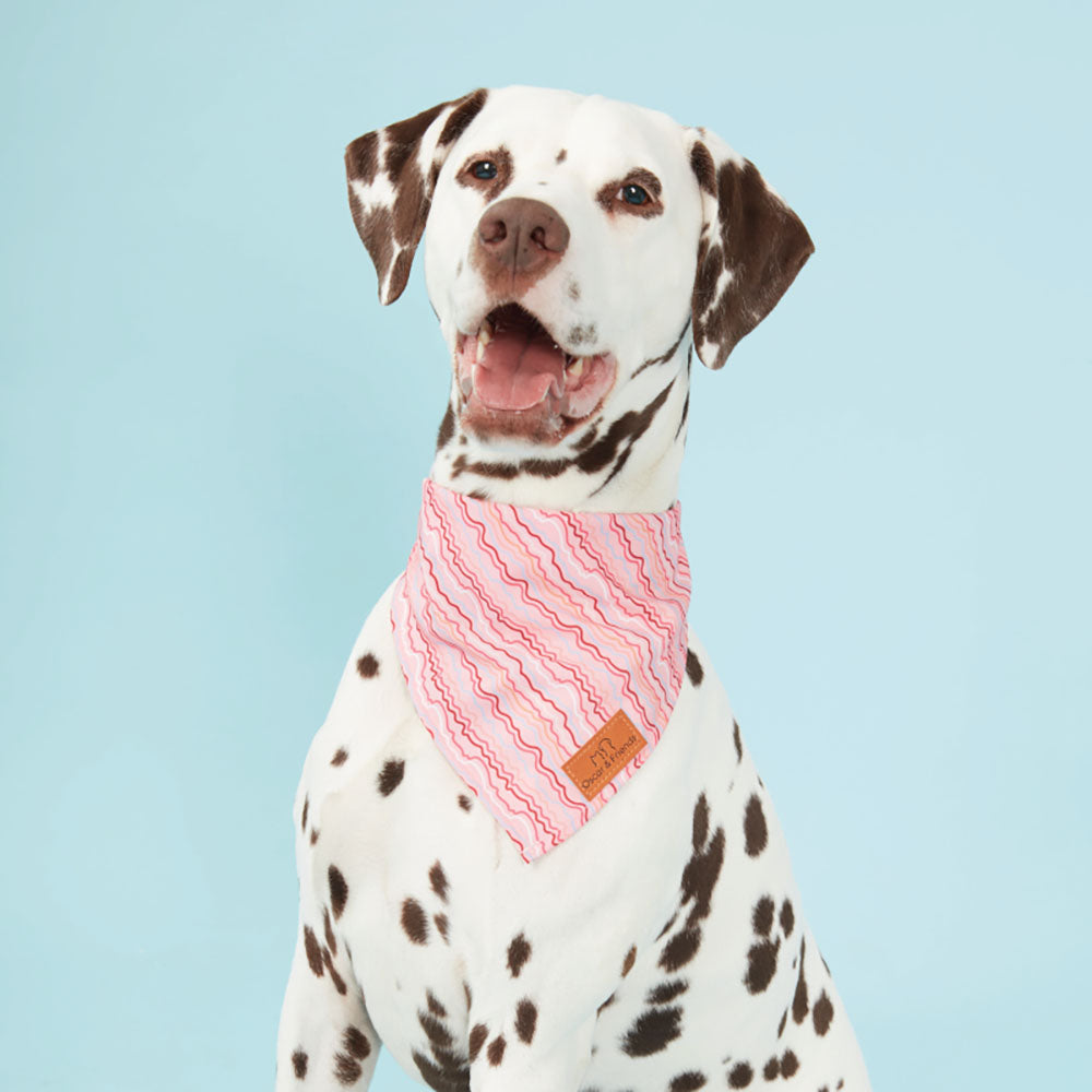 Bandana