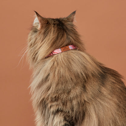 Cat Collar