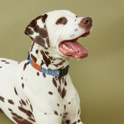 Dog Collar Printed