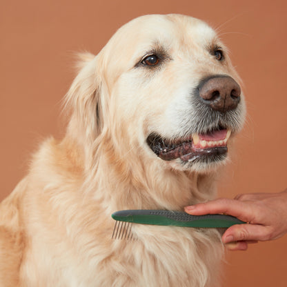 Wide Tooth Pet Comb