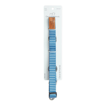 Dog Lead Printed Blue Stripe