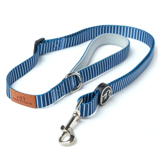 Dog Lead Printed Blue Stripe