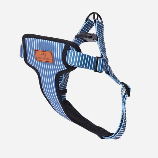 Padded Harness Teal Stripe