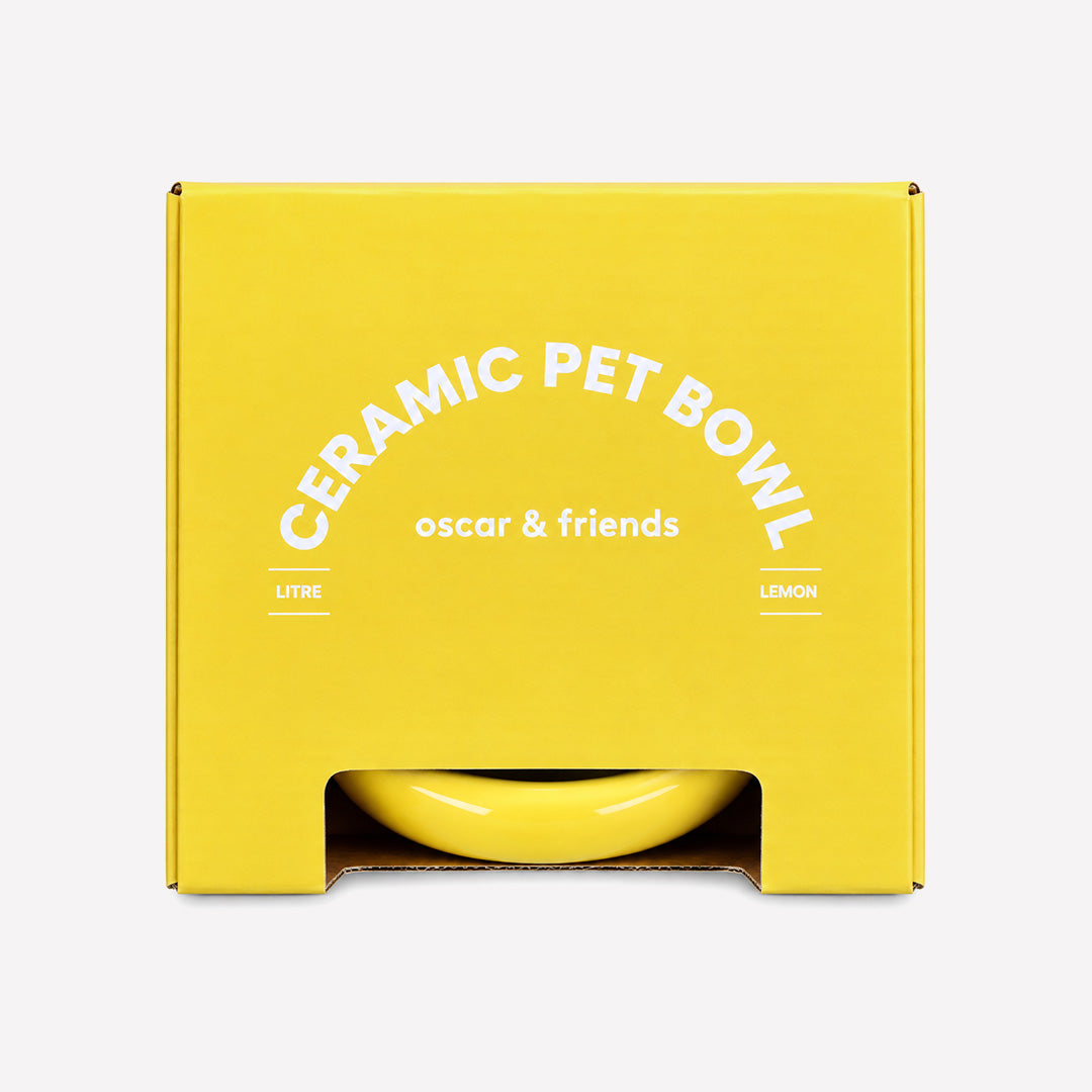 Ceramic Pet Bowl - Lemon