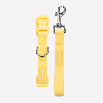 Waterproof Collar & Lead Set - Lemon