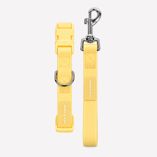 Waterproof Collar & Lead Set - Lemon