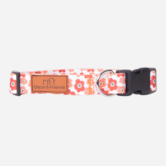 Dog Collar Blotched Floral