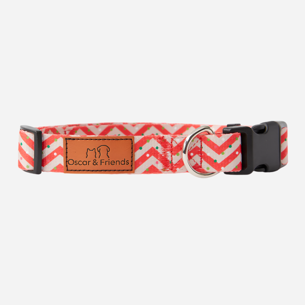 Christmas print dog collar