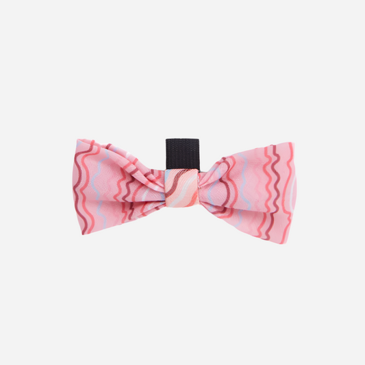 Dog Bow Tie Swirl