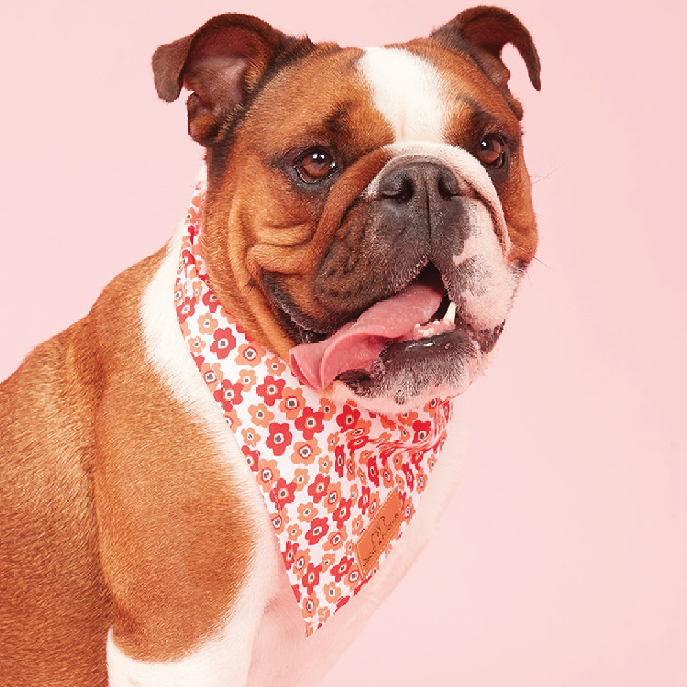 Dog Bandana Blotched Floral