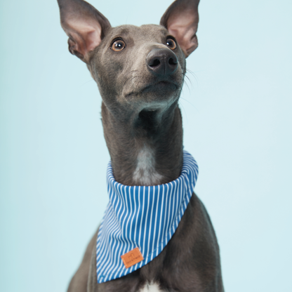 Dog Bandana Teal Stripe