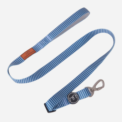 Dog Lead Teal Stripe