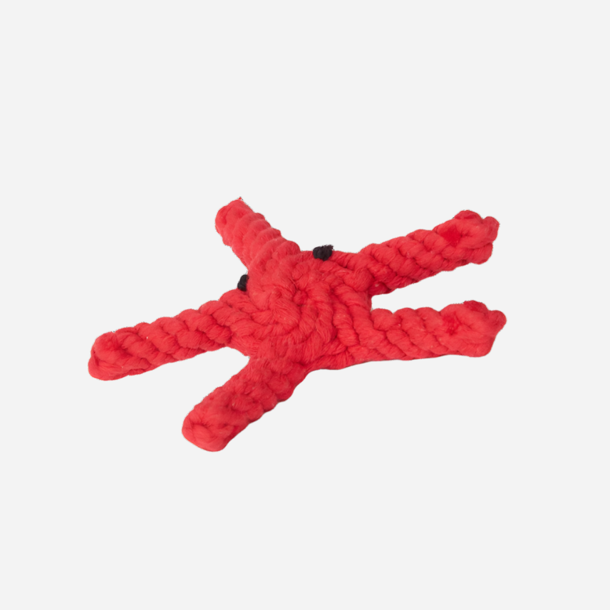 Dog Toy Starfish