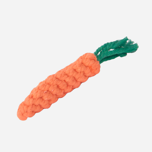 Dog Toy Carrot