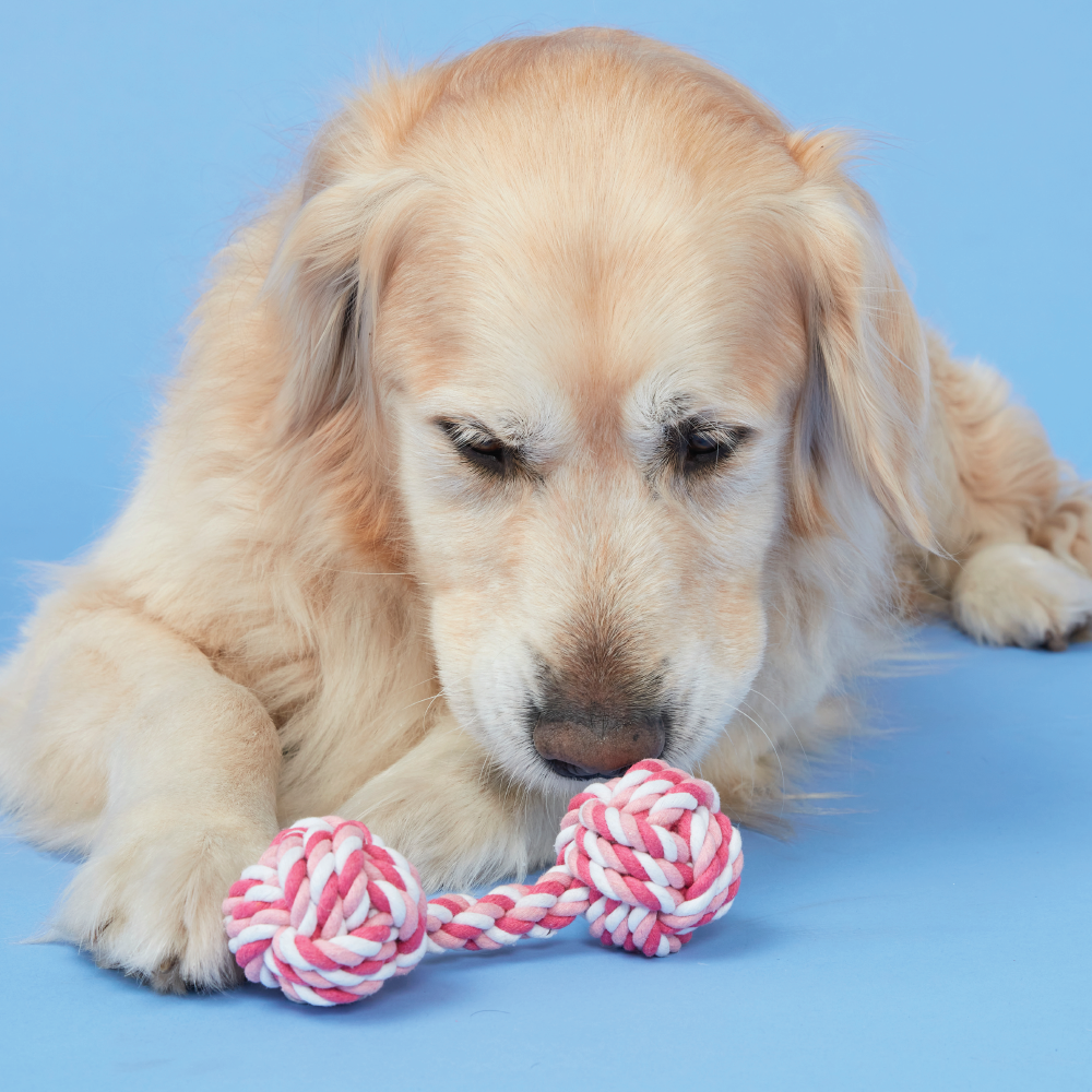 Dog Toy Pink Multi Knit Rope Toy