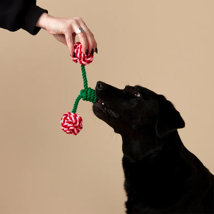 Cherry Rope Pull Toy